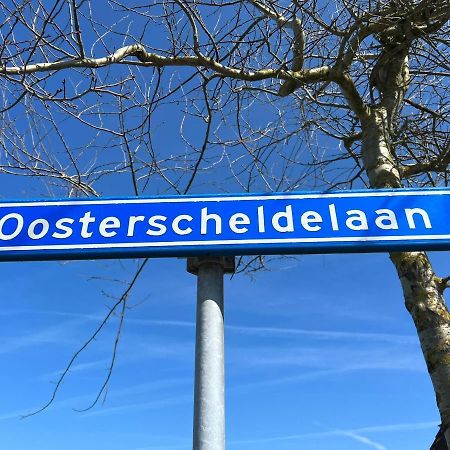 Vakantiehuis Met Luxe Tuin Dichtbij Het Strand Kamperland Exteriör bild